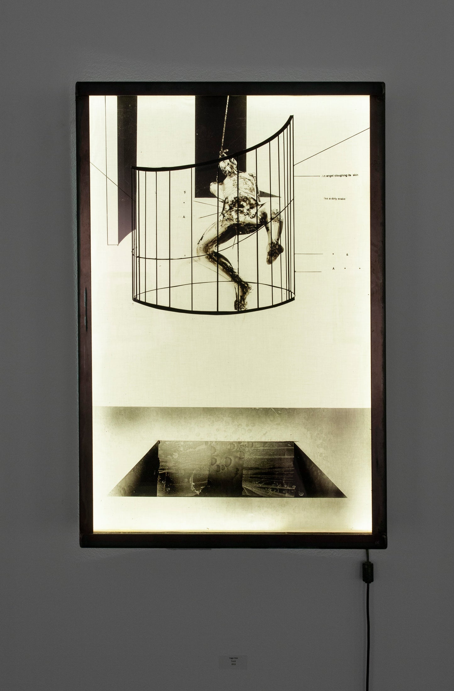 Cage 1