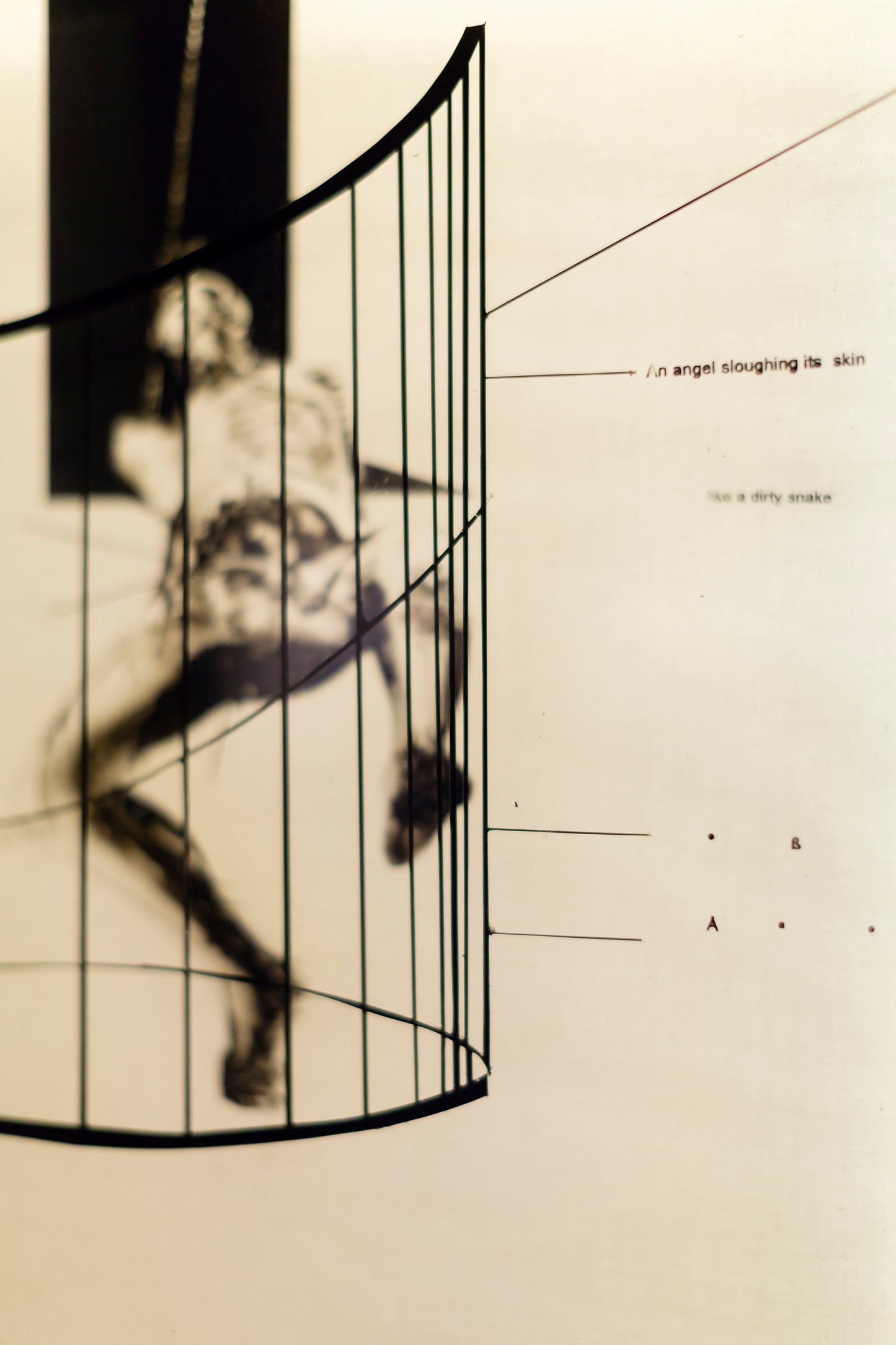 Cage 1