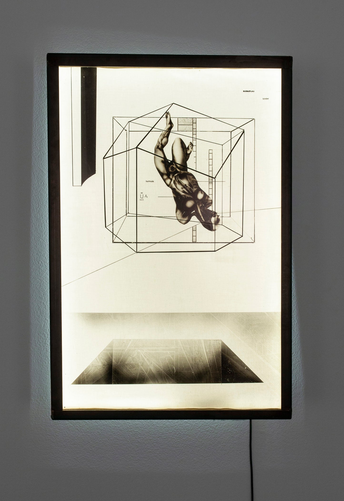 Cage 2