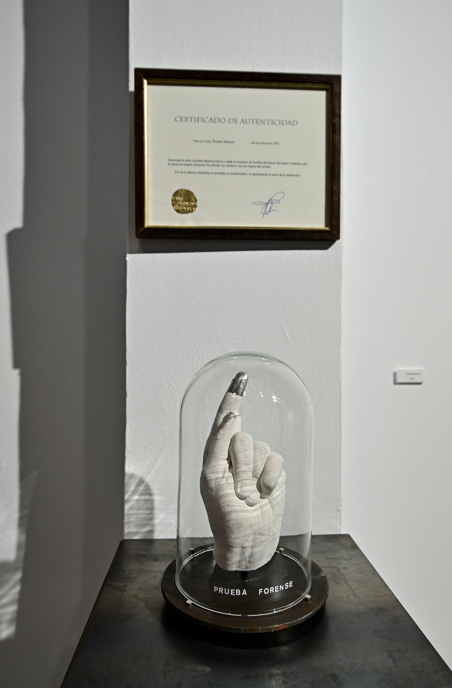 Prueba Forense Sculpture