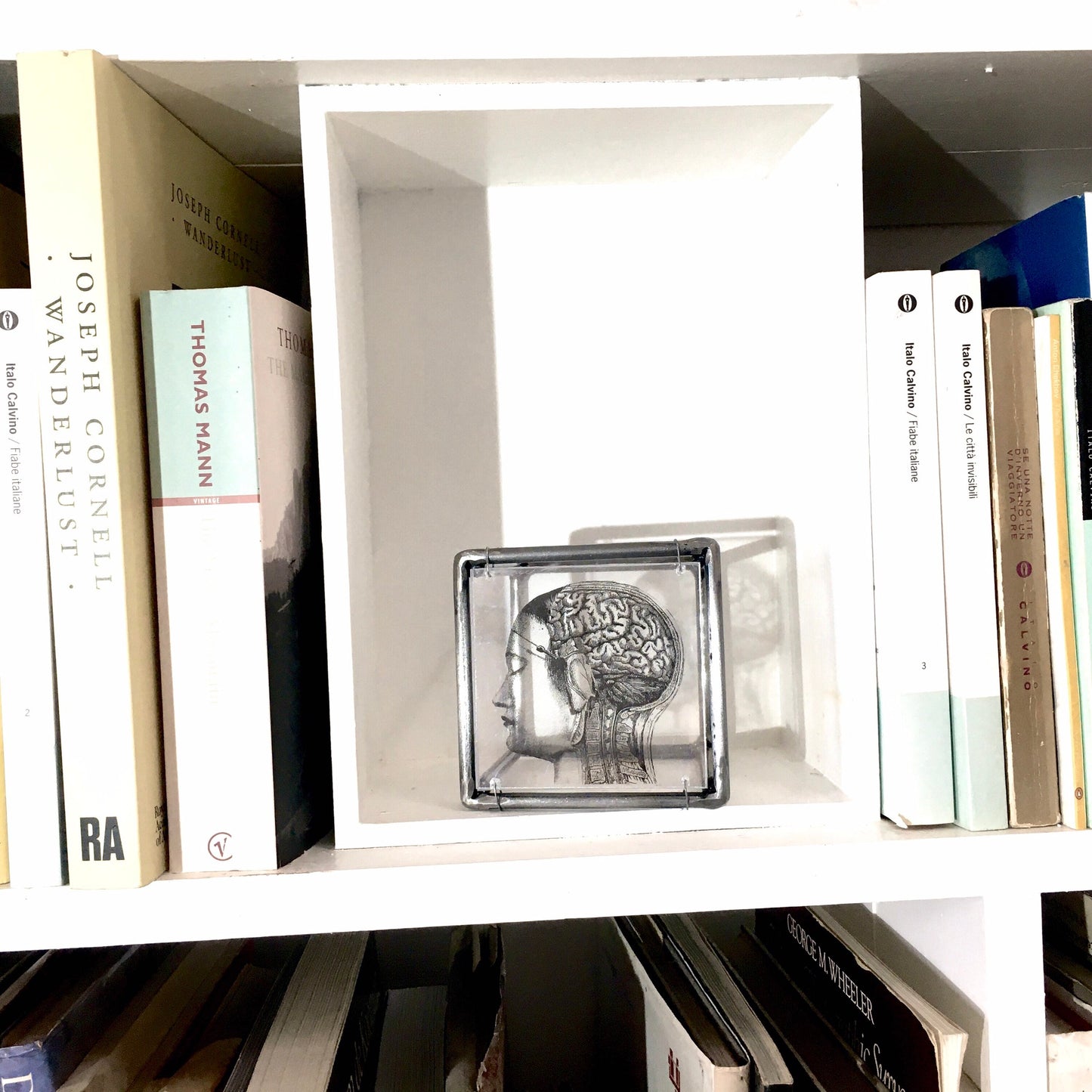 Home decor gift. Small sculpture, for desk or wall with an original collage art, anatomy art print by Art and shadow. Aesthetic room decor. - artandshadow