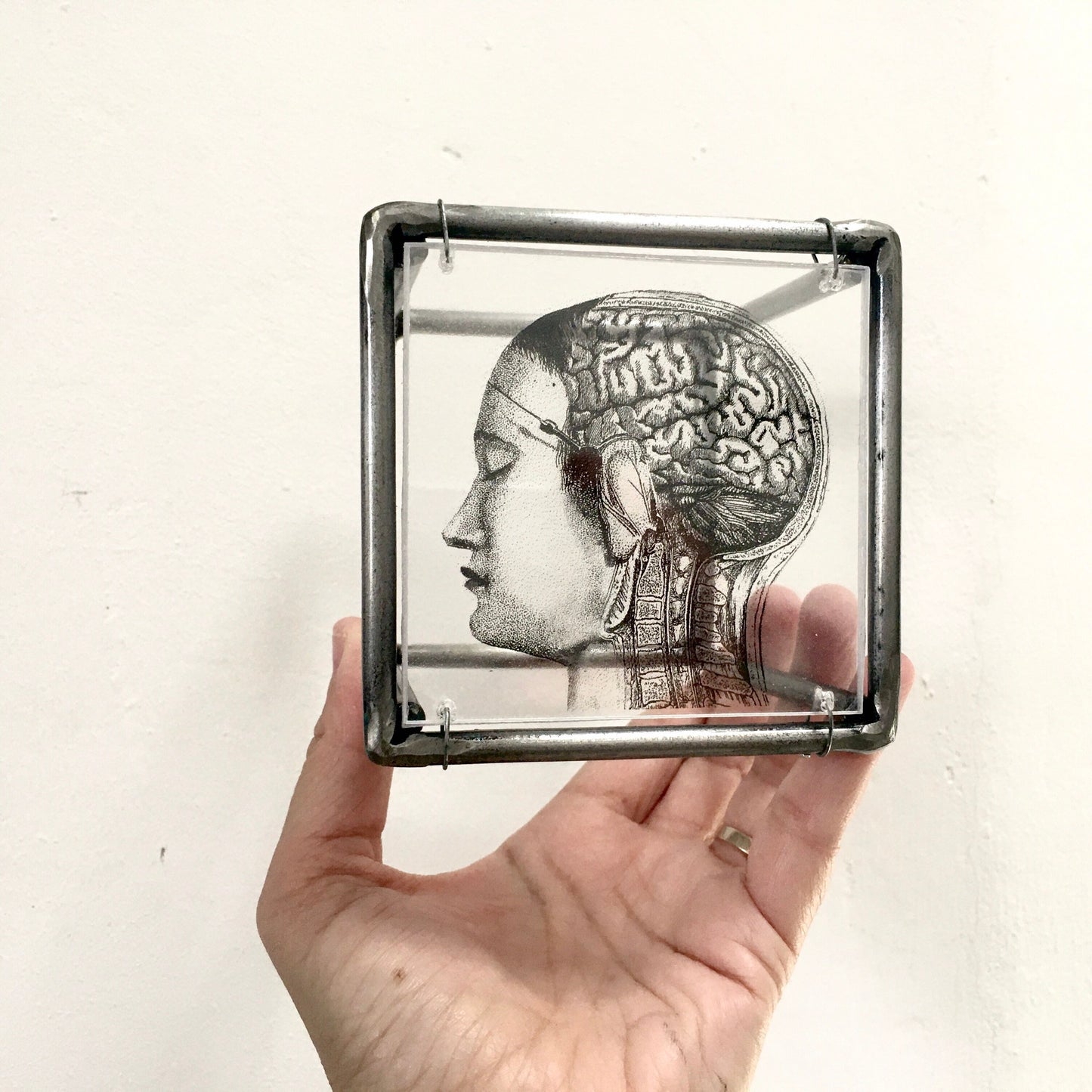 Home decor gift. Small sculpture, for desk or wall with an original collage art, anatomy art print by Art and shadow. Aesthetic room decor. - artandshadow