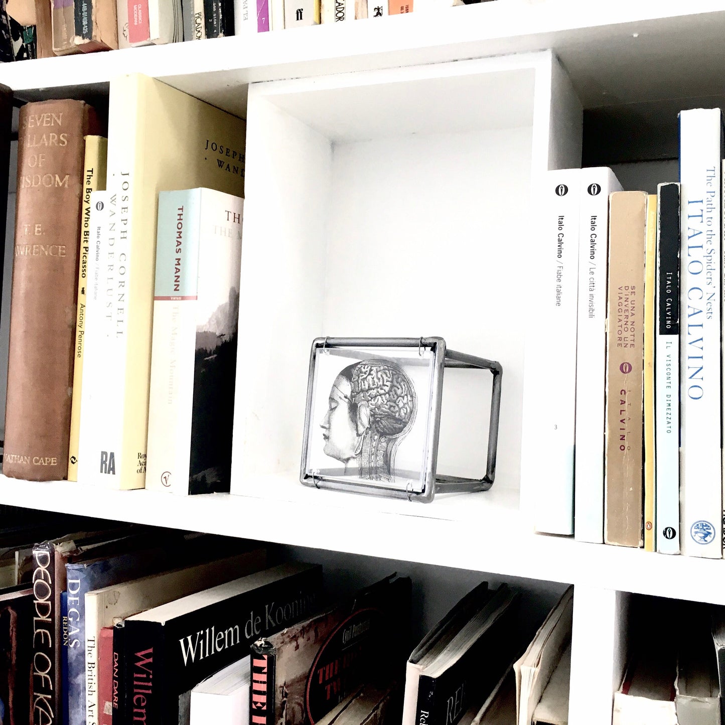 Home decor gift. Small sculpture, for desk or wall with an original collage art, anatomy art print by Art and shadow. Aesthetic room decor. - artandshadow
