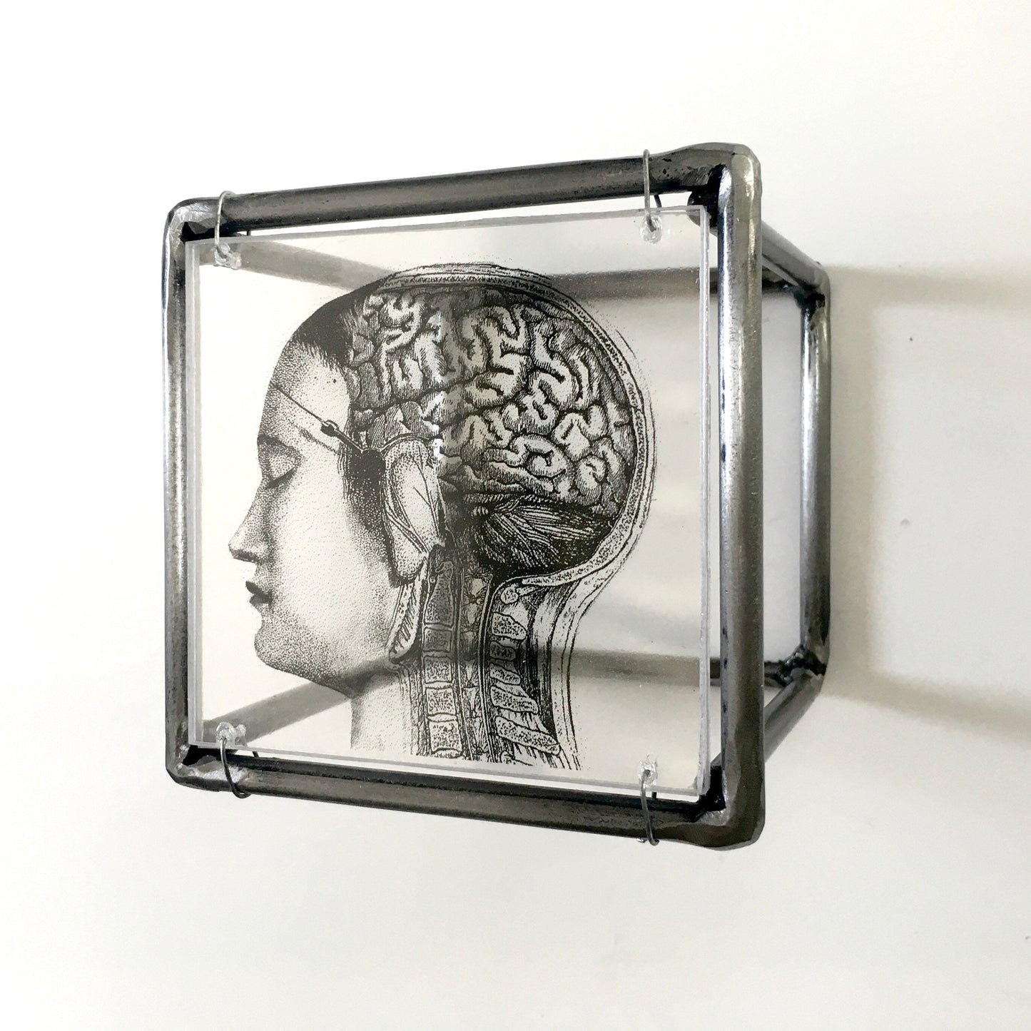 Home decor gift. Small sculpture, for desk or wall with an original collage art, anatomy art print by Art and shadow. Aesthetic room decor. - artandshadow
