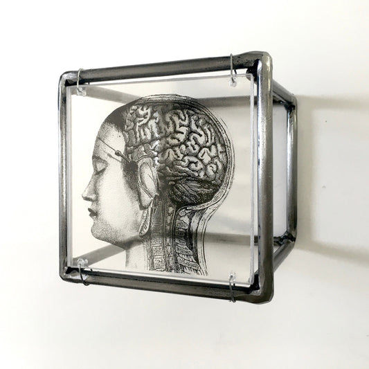 Home decor gift. Small sculpture, for desk or wall  with an original collage art, anatomy art print by Art and shadow. Aesthetic room decor. - artandshadow