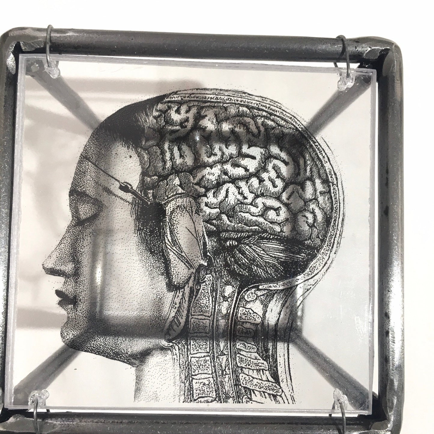 Home decor gift. Small sculpture, for desk or wall with an original collage art, anatomy art print by Art and shadow. Aesthetic room decor. - artandshadow