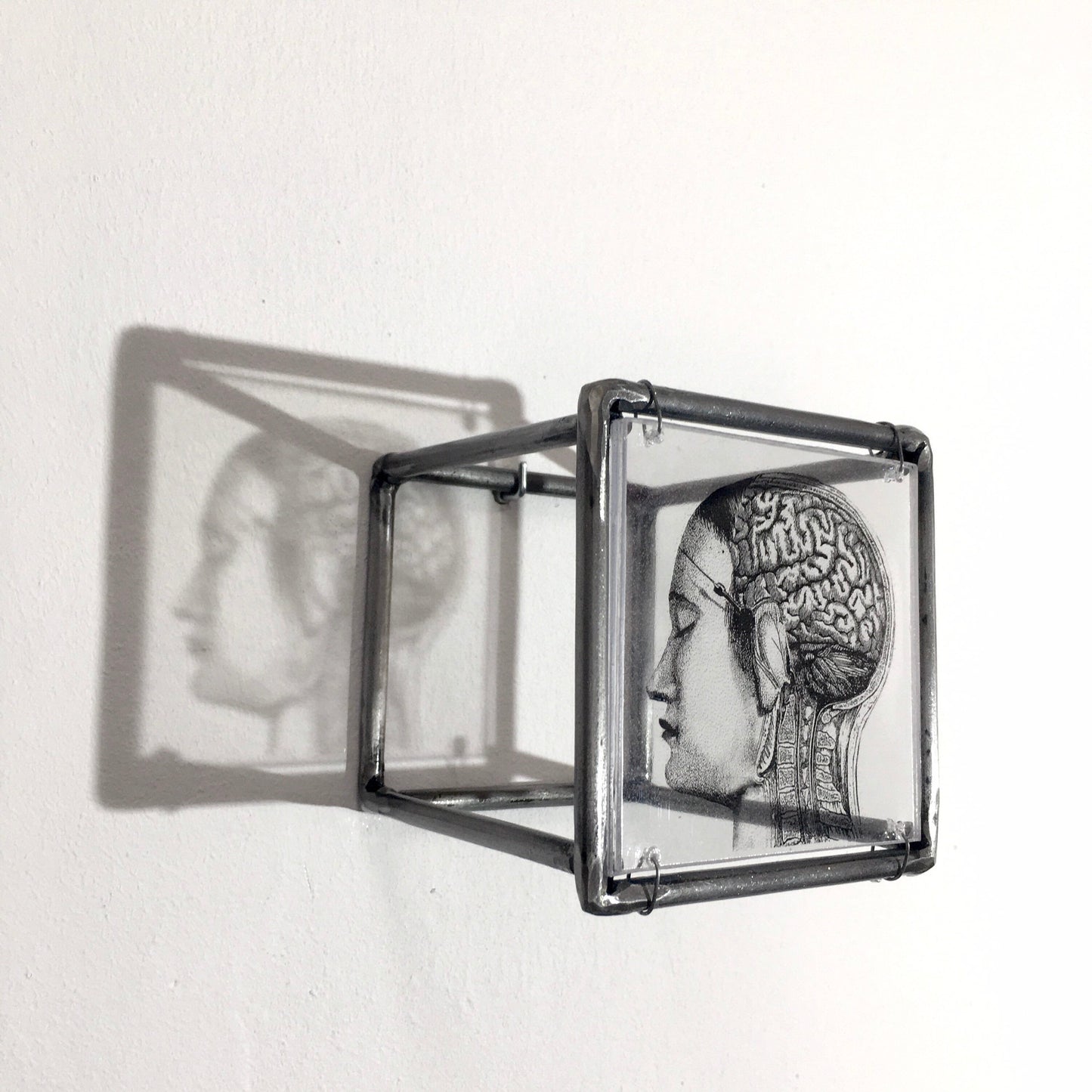 Home decor gift. Small sculpture, for desk or wall with an original collage art, anatomy art print by Art and shadow. Aesthetic room decor. - artandshadow