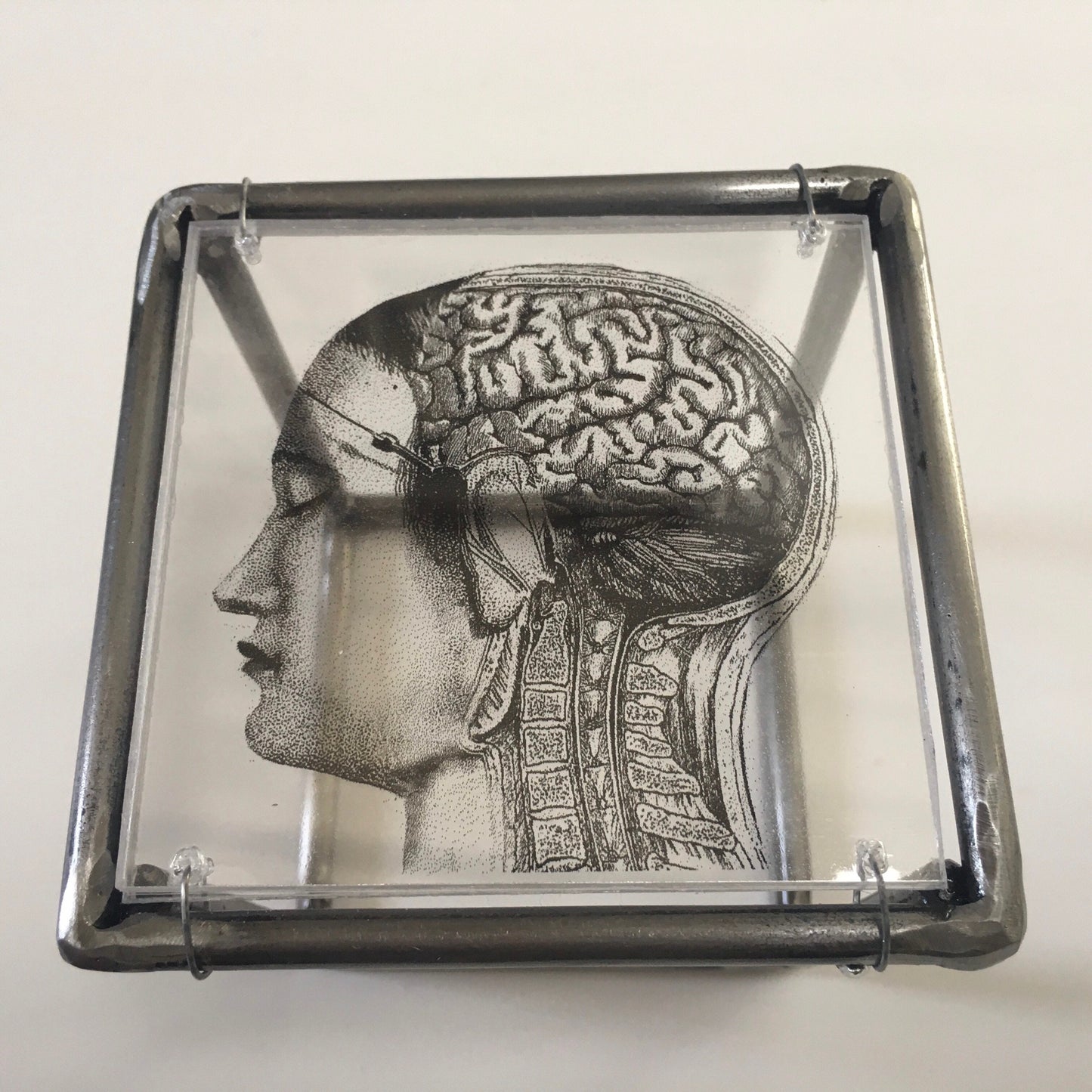 Home decor gift. Small sculpture, for desk or wall with an original collage art, anatomy art print by Art and shadow. Aesthetic room decor. - artandshadow