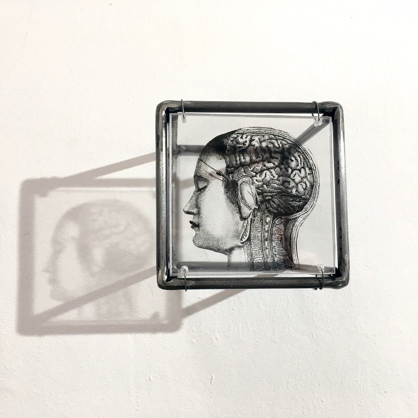 Home decor gift. Small sculpture, for desk or wall with an original collage art, anatomy art print by Art and shadow. Aesthetic room decor. - artandshadow