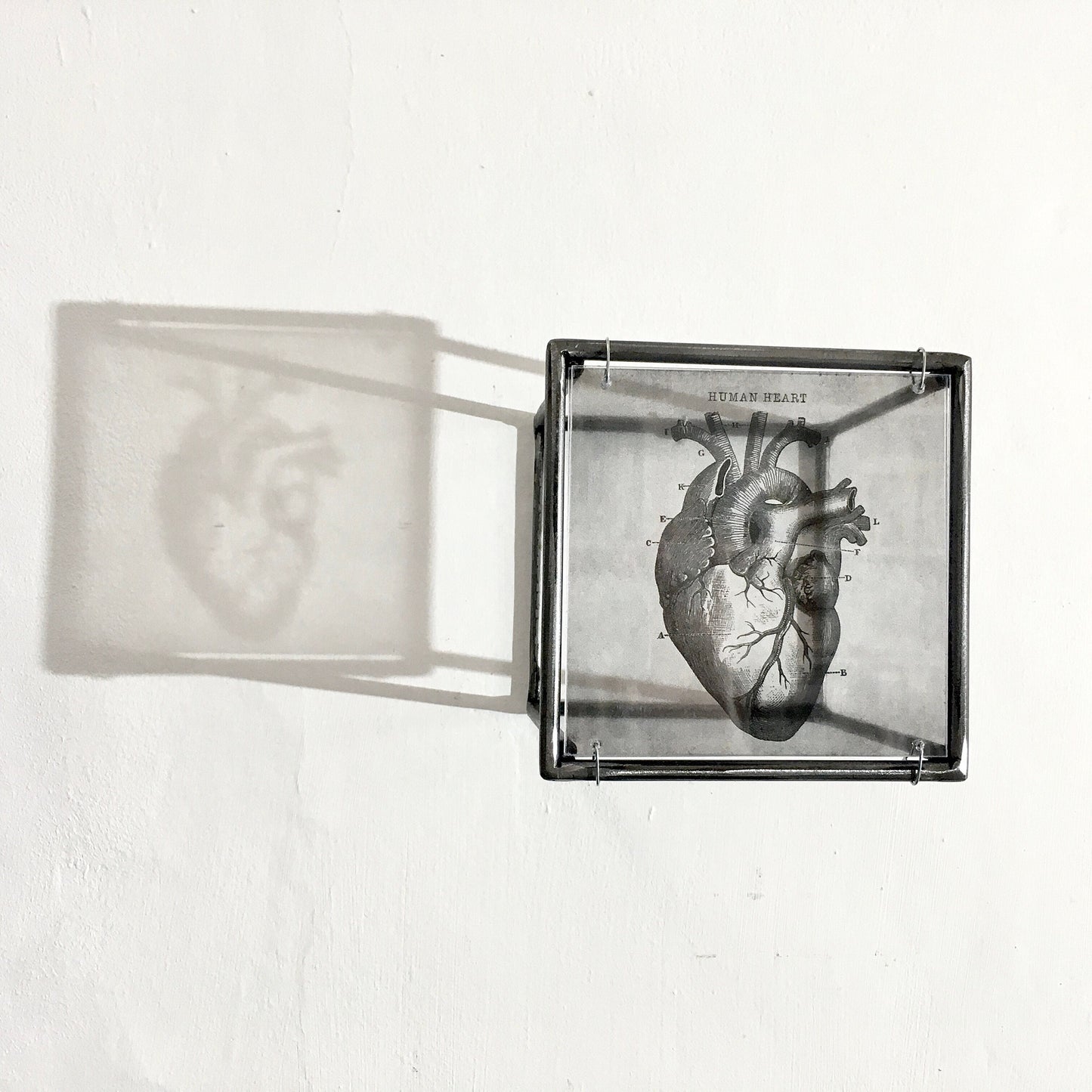 Anatomical heart print, handmade metal wall decor, art and shadow cubic sculpture. Home gift. - artandshadow