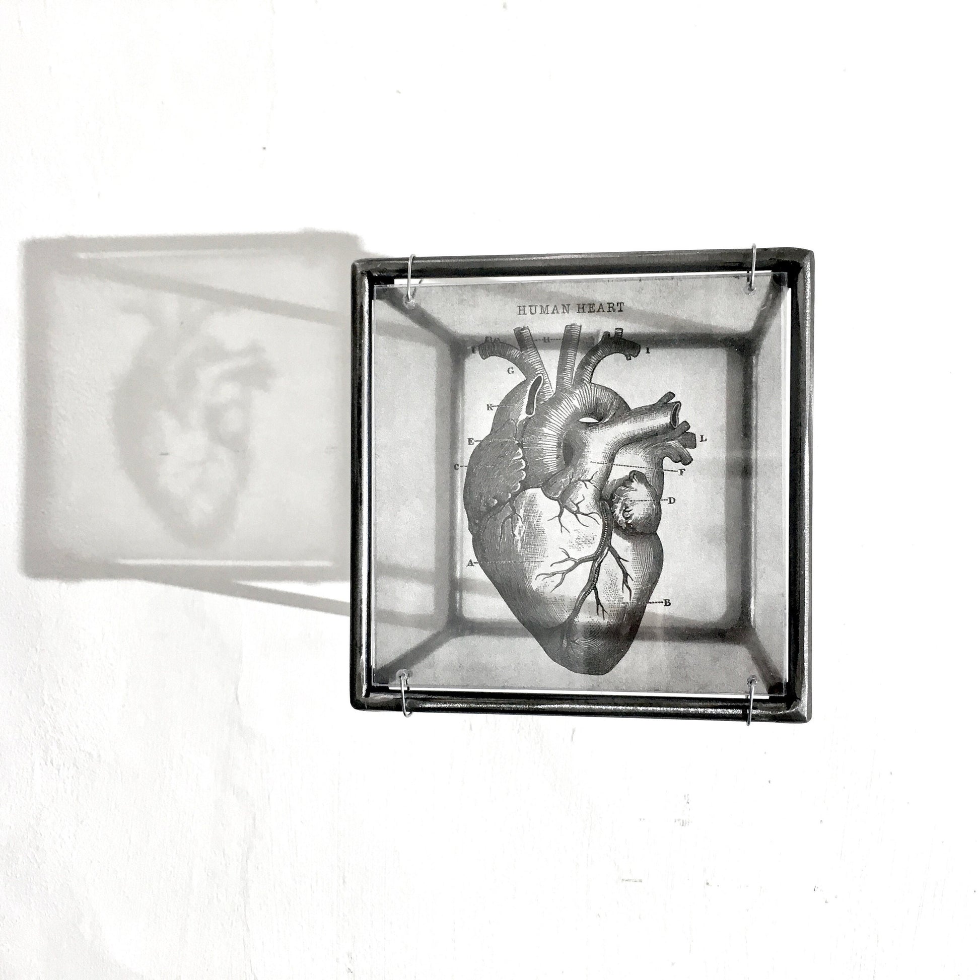 Anatomical heart print, handmade metal wall decor, art and shadow cubic sculpture. Home gift. - artandshadow