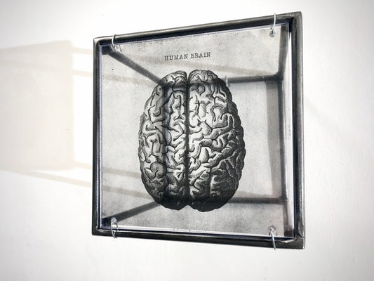 Human Brain, anatomical print in a cubic, metal, hanging wall art sculpture. Christmas artsy gift. - artandshadow