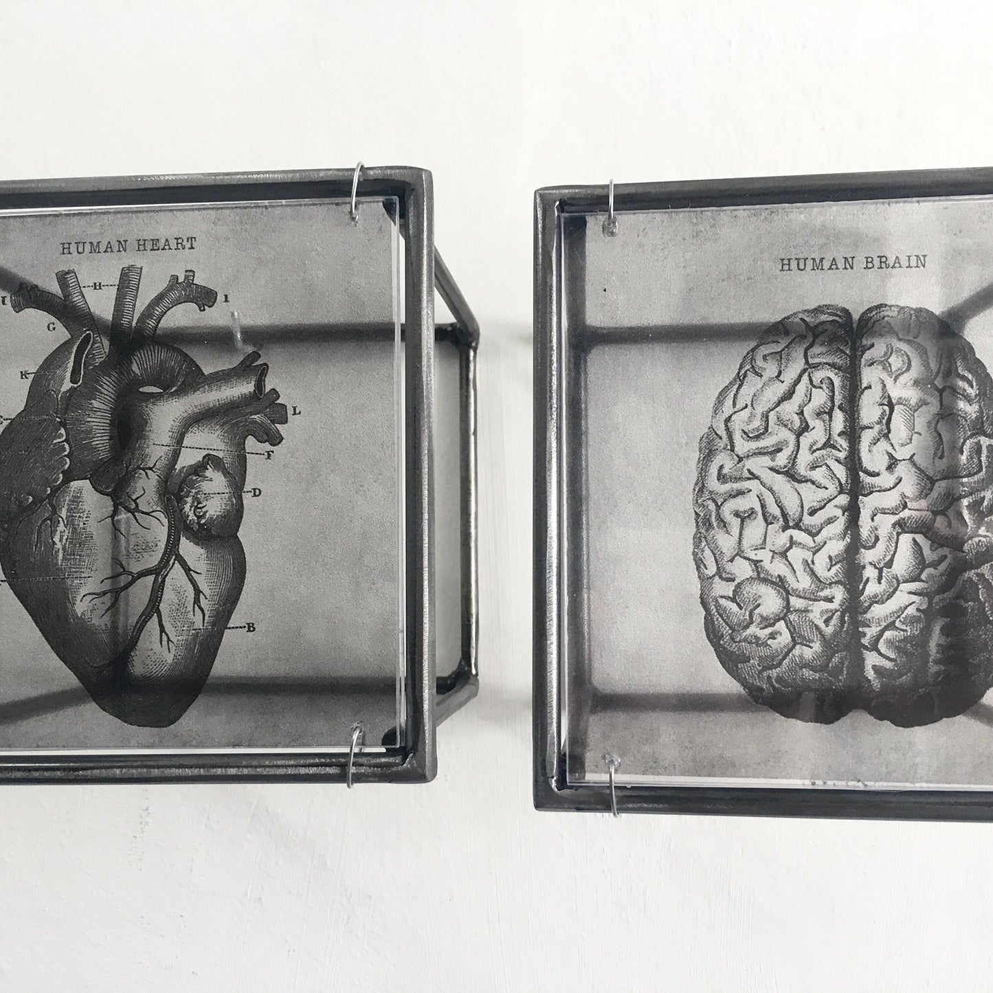 Hanging metal sculpture. Anatomical heart and brain art print. Art and shadow wall decor. Christmas art gift. - artandshadow