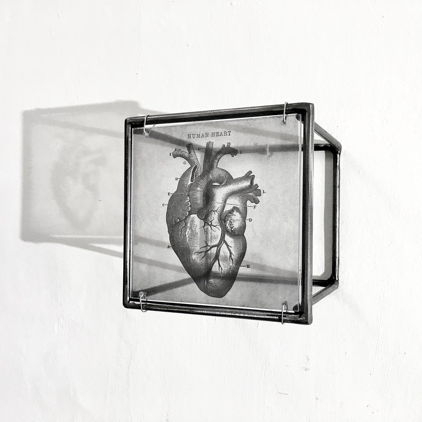 Hanging metal sculpture. Anatomical heart and brain art print. Art and shadow wall decor. Christmas art gift. - artandshadow