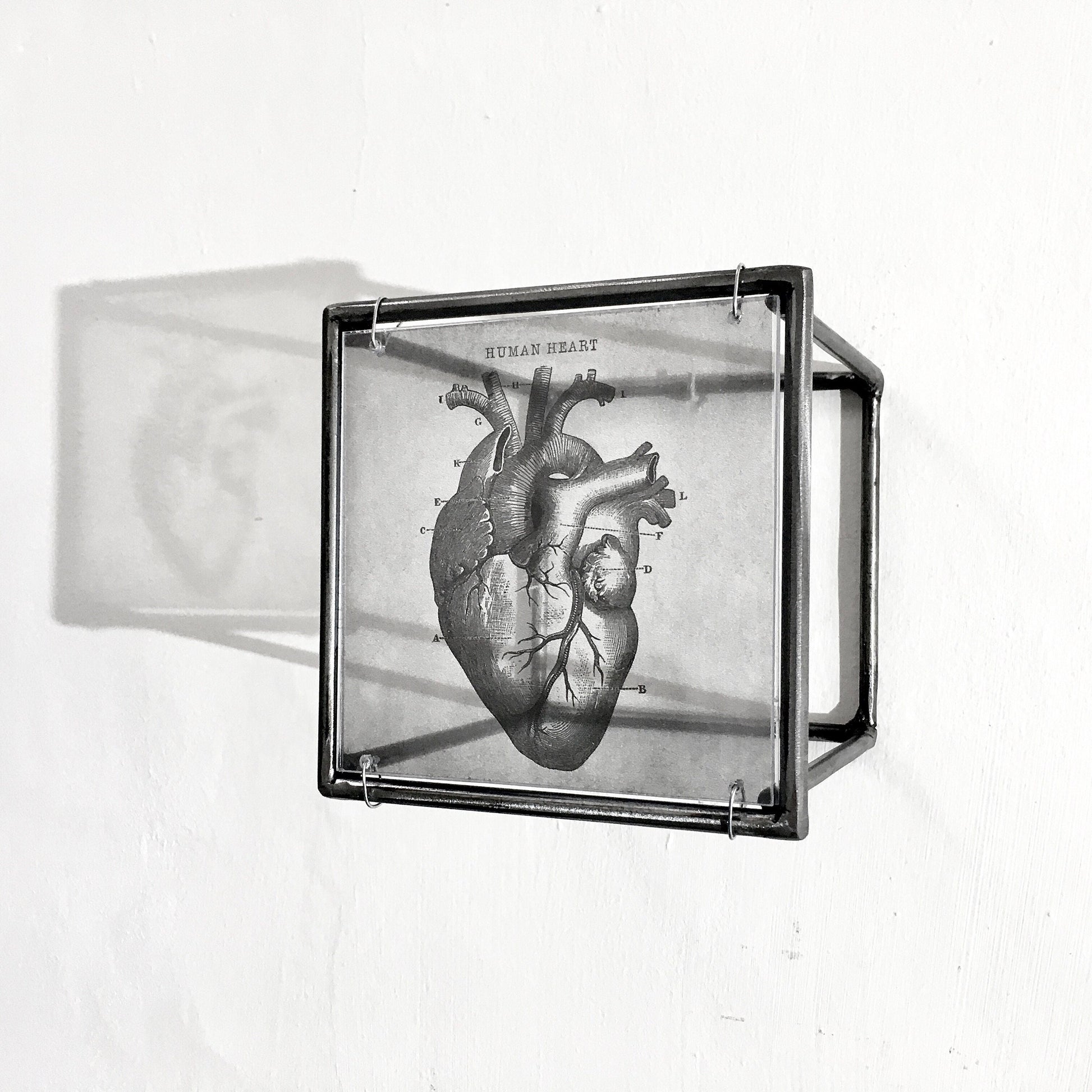 Hanging metal sculpture. Anatomical heart and brain art print. Art and shadow wall decor. Christmas art gift. - artandshadow