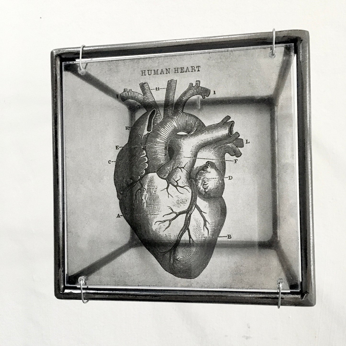 Anatomical heart print, handmade metal wall decor, art and shadow cubic sculpture. Home gift. - artandshadow