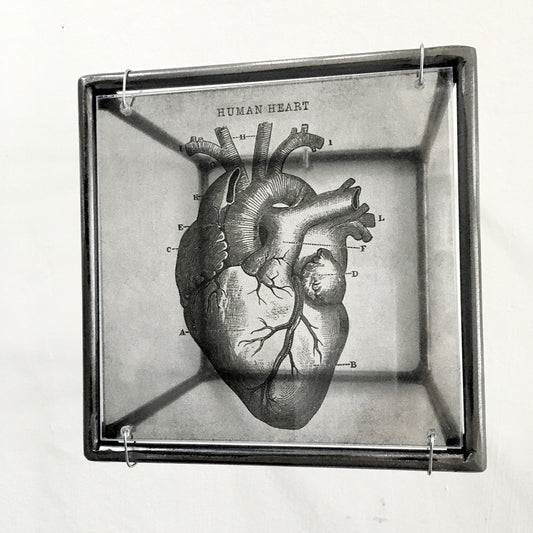 Anatomical heart print, handmade metal wall decor, art and shadow cubic sculpture. Home gift. - artandshadow