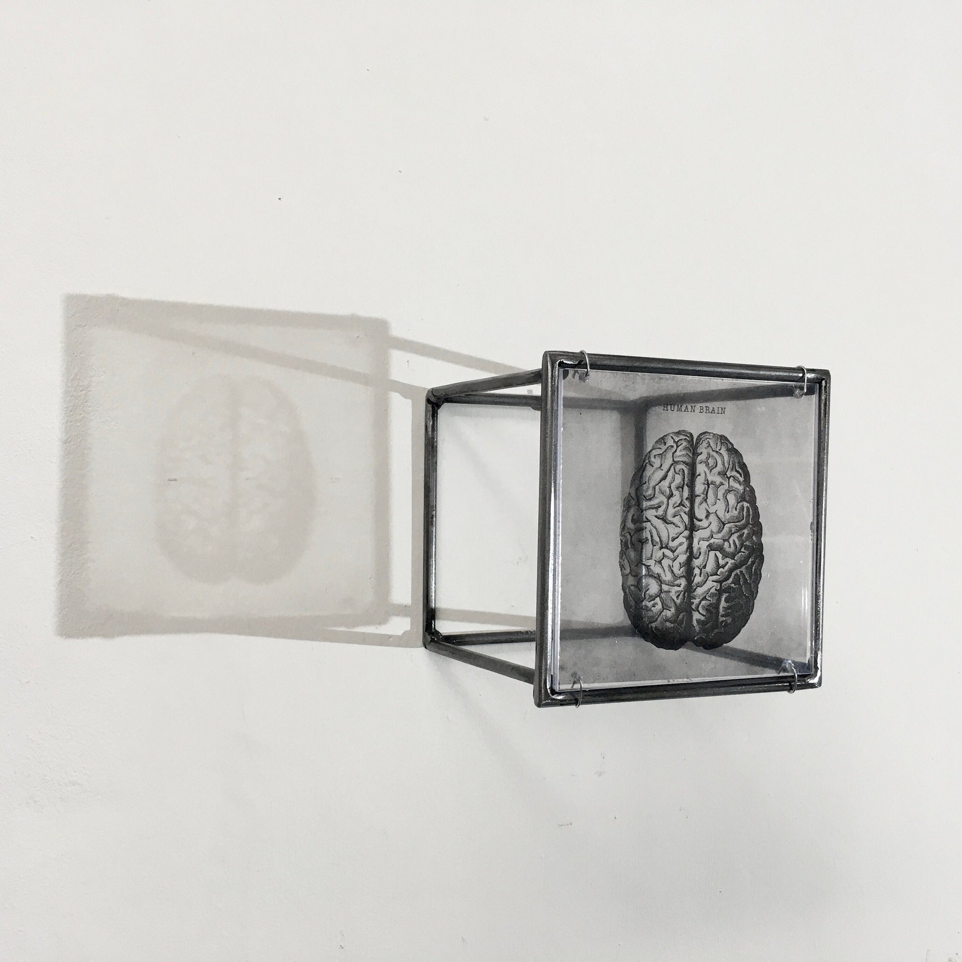 Human Brain, anatomical print in a cubic, metal, hanging wall art sculpture. Christmas artsy gift. - artandshadow