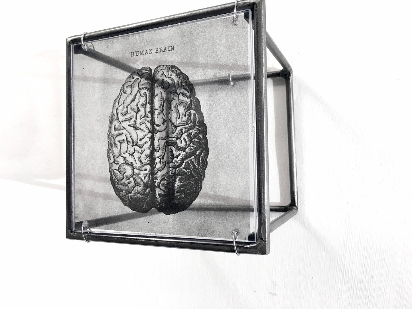 Human Brain, anatomical print in a cubic, metal, hanging wall art sculpture. Christmas artsy gift. - artandshadow