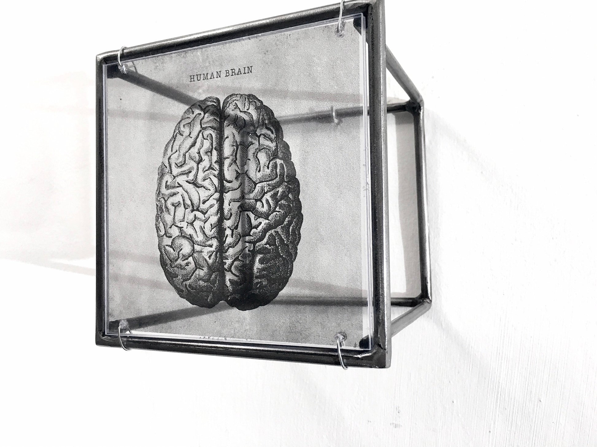 Human Brain, anatomical print in a cubic, metal, hanging wall art sculpture. Christmas artsy gift. - artandshadow