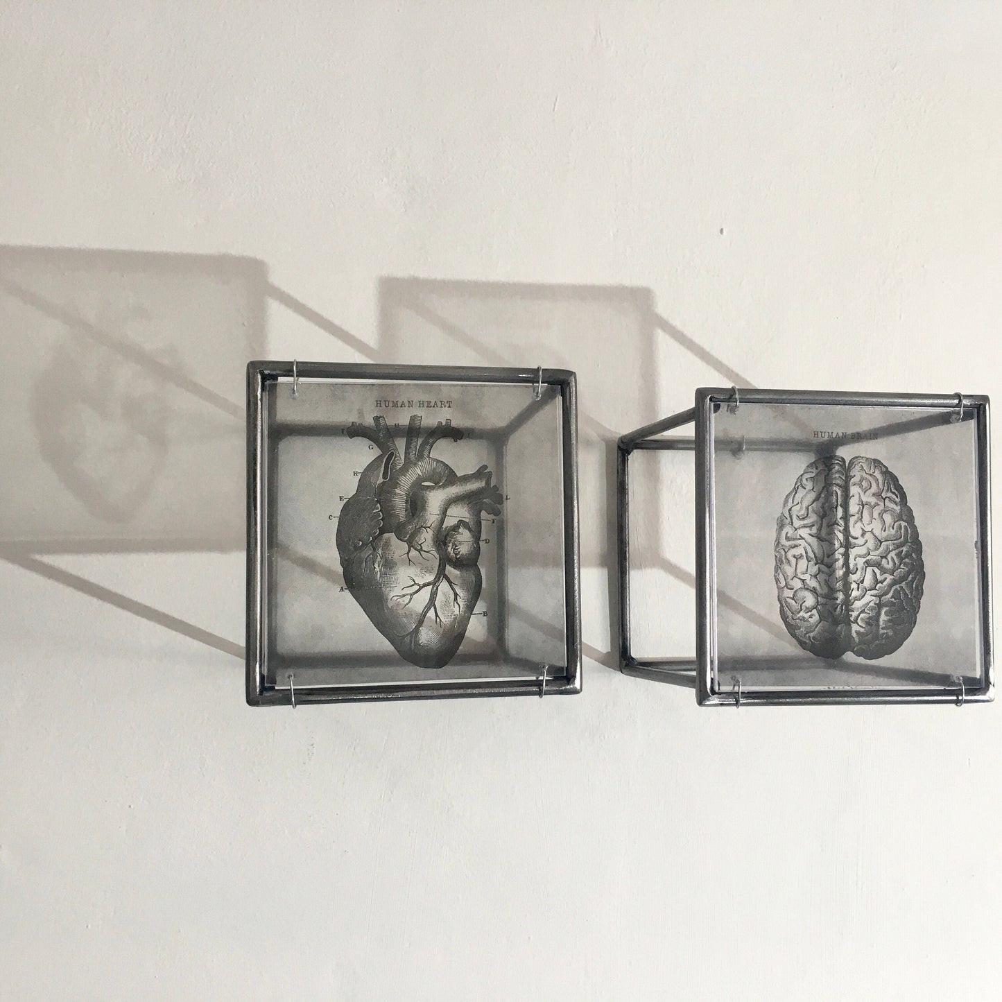 Hanging metal sculpture. Anatomical heart and brain art print. Art and shadow wall decor. Christmas art gift. - artandshadow