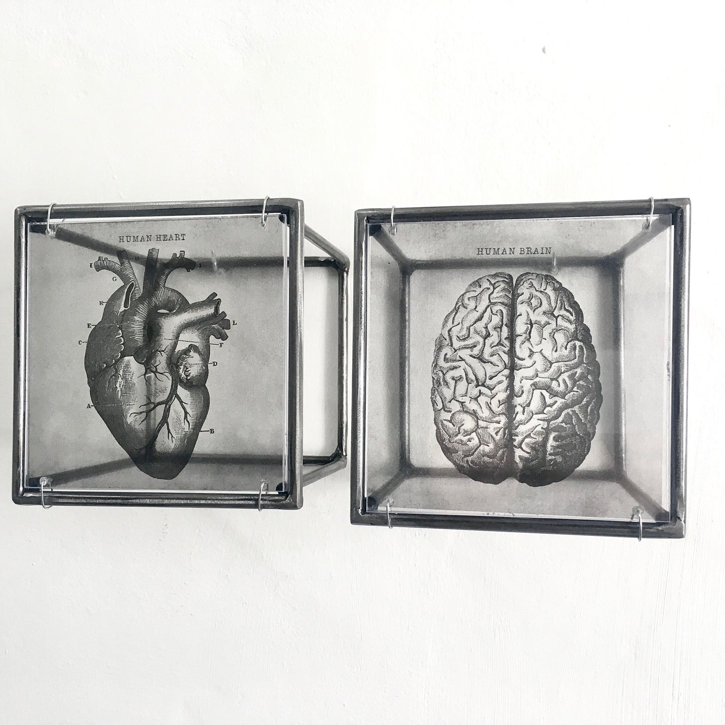 Hanging metal sculpture. Anatomical heart and brain art print. Art and shadow wall decor. Christmas art gift. - artandshadow