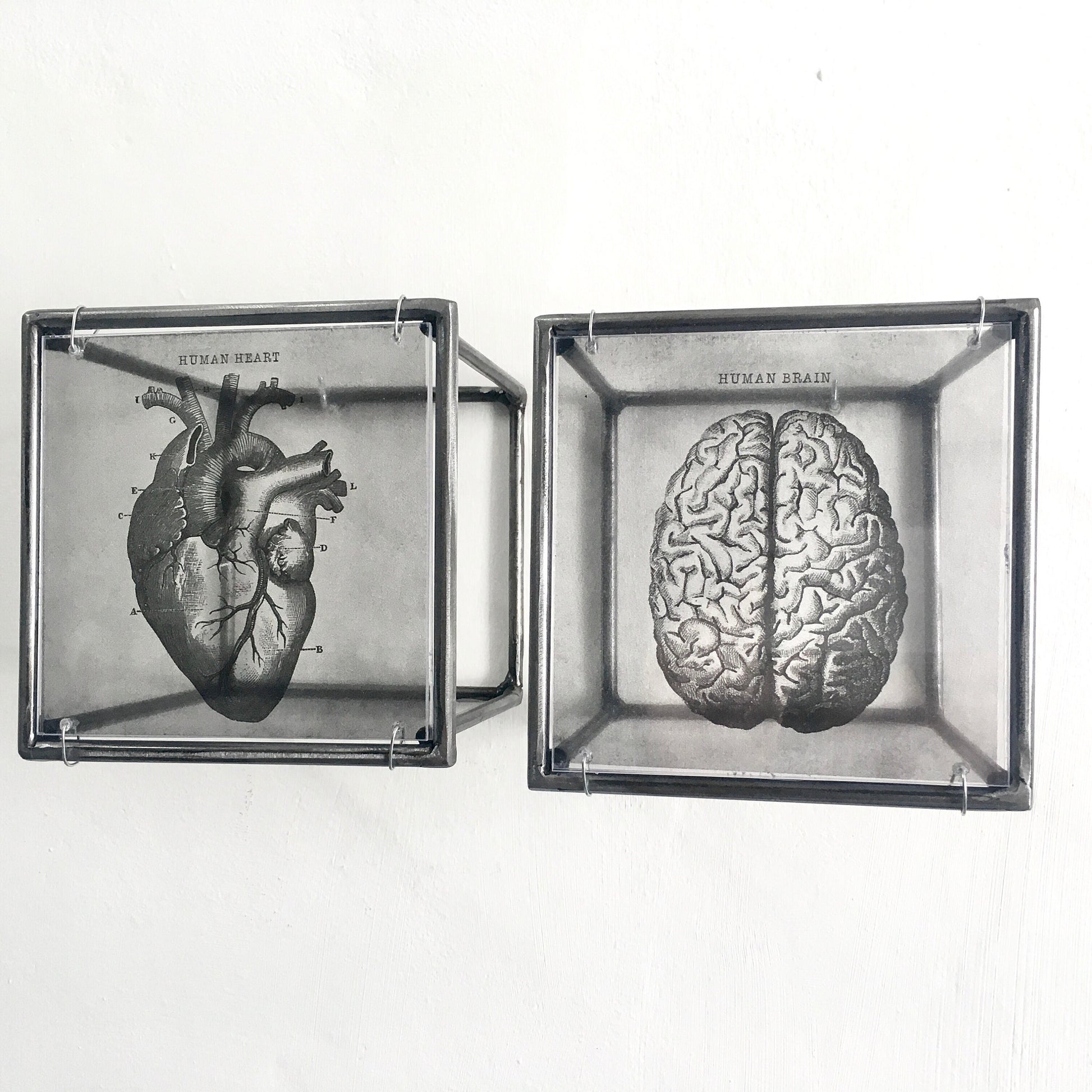 Hanging metal sculpture. Anatomical heart and brain art print. Art and shadow wall decor. Christmas art gift. - artandshadow