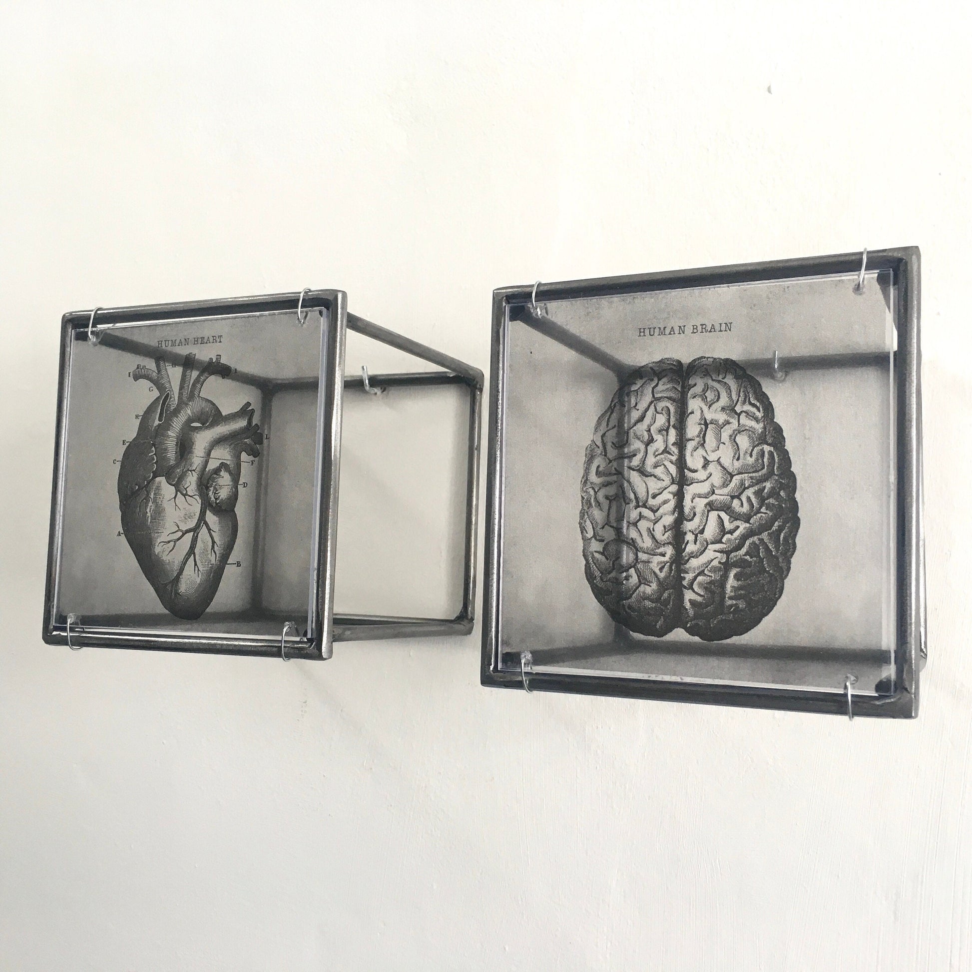 Hanging metal sculpture. Anatomical heart and brain art print. Art and shadow wall decor. Christmas art gift. - artandshadow