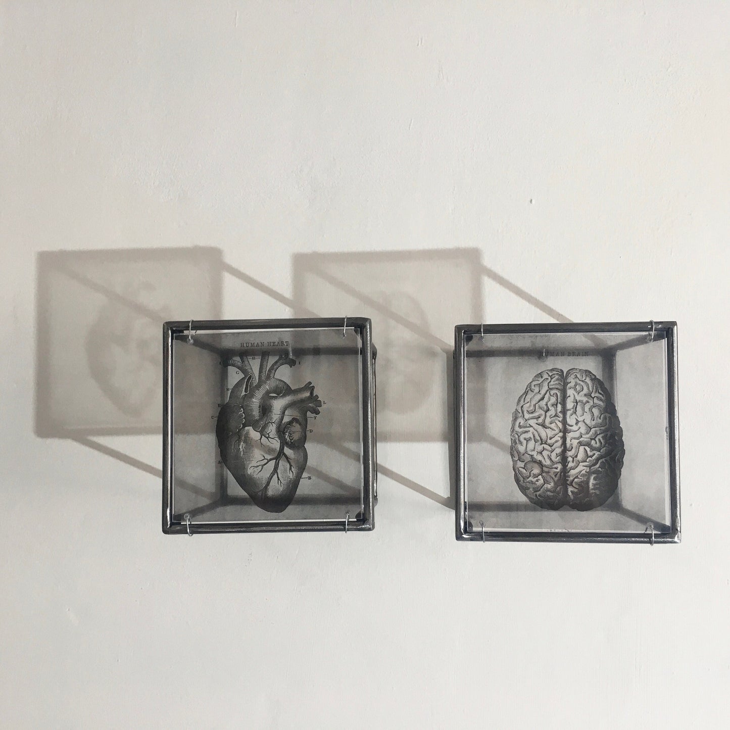 Hanging metal sculpture. Anatomical heart and brain art print. Art and shadow wall decor. Christmas art gift. - artandshadow