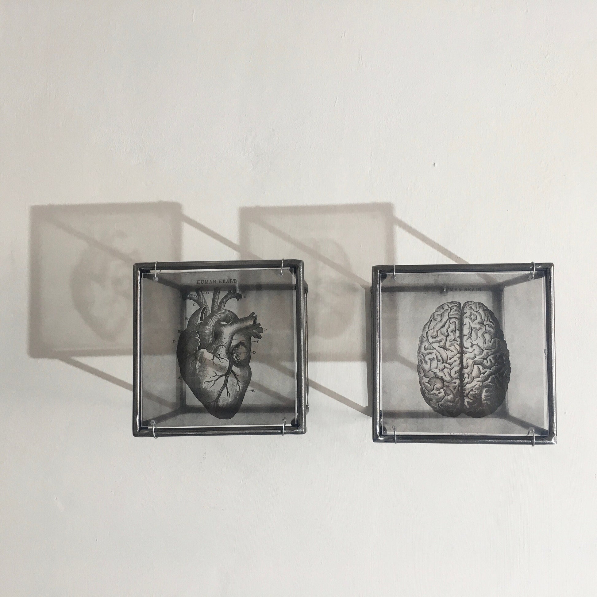Hanging metal sculpture. Anatomical heart and brain art print. Art and shadow wall decor. Christmas art gift. - artandshadow