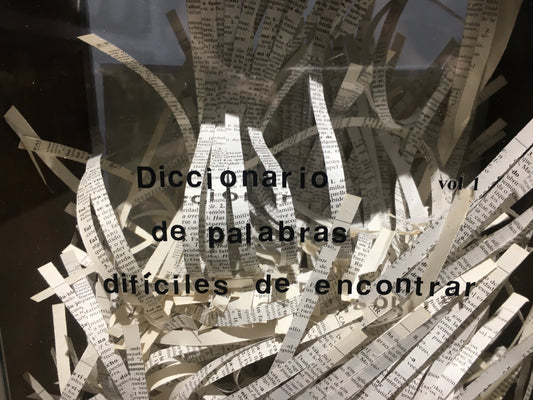 detail of shredded dictionary in art installation of the manifesto against words by Furst_Ori