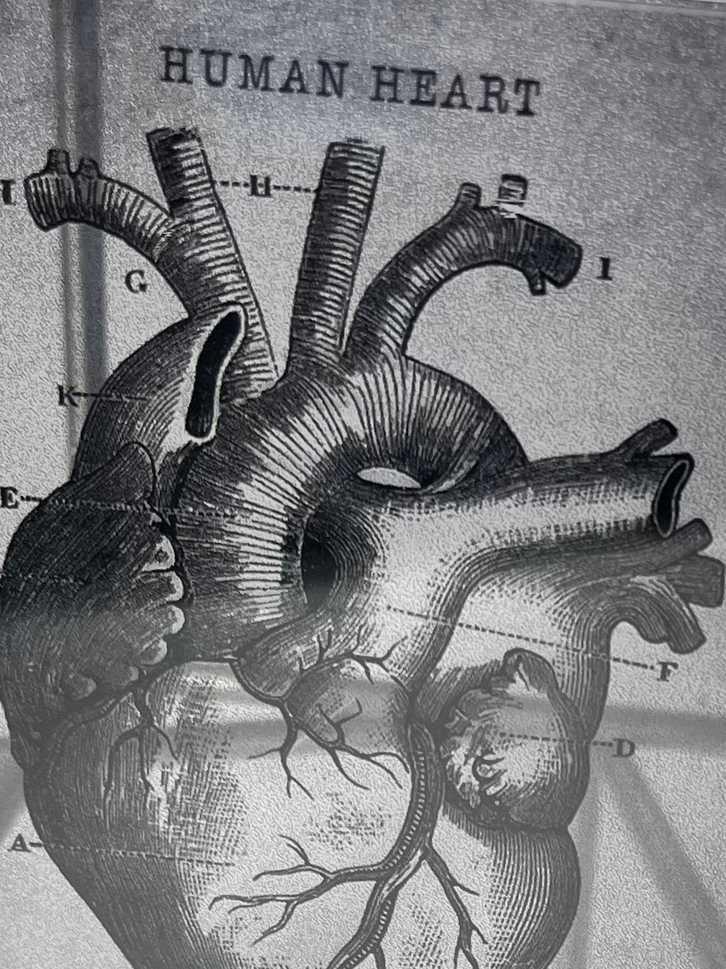 Modern Interior Metal Wall Art Sculpture Thinking of You with All My Heart: Sculpture Diptych Artandshadow