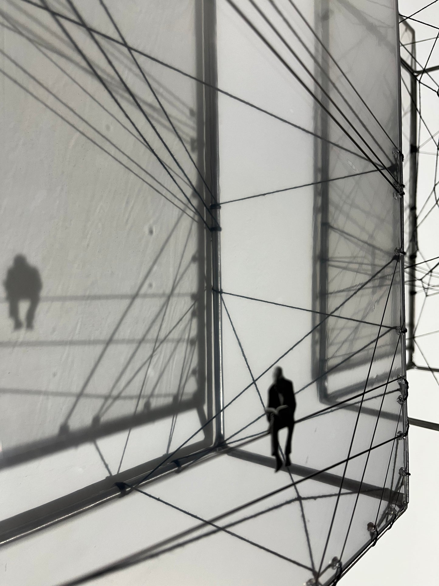 Numbered Limited Edition Wall Sculpture Free Like a Bird: Limited Edition Metal & String Art Diptych Artandshadow
