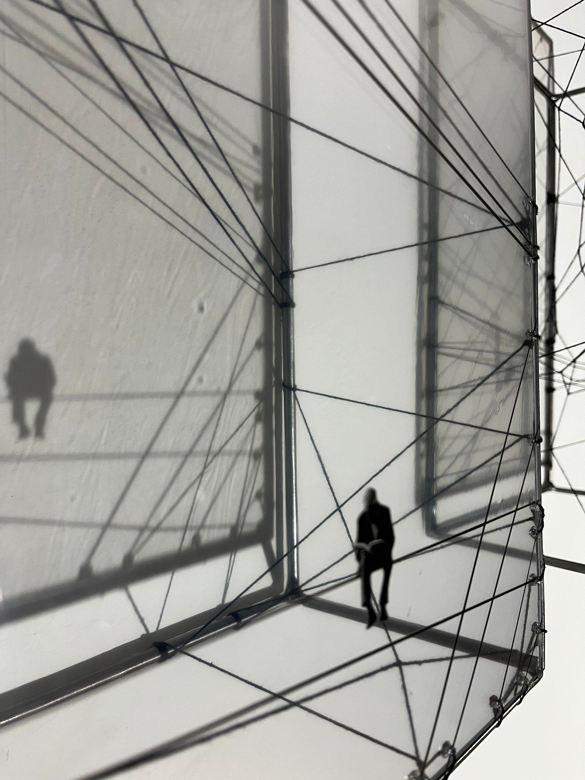 Numbered Limited Edition Wall Sculpture Free Like a Bird: Limited Edition Metal & String Art Diptych Artandshadow