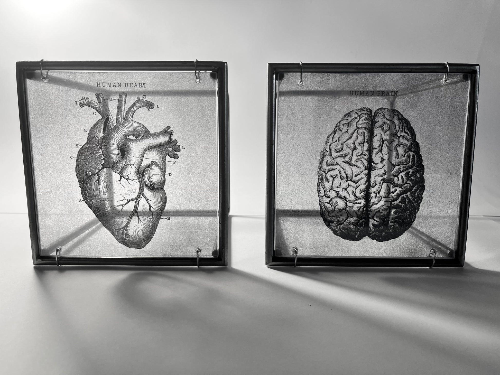 Modern Interior Metal Wall Art Sculpture Thinking of You with All My Heart: Sculpture Diptych Artandshadow