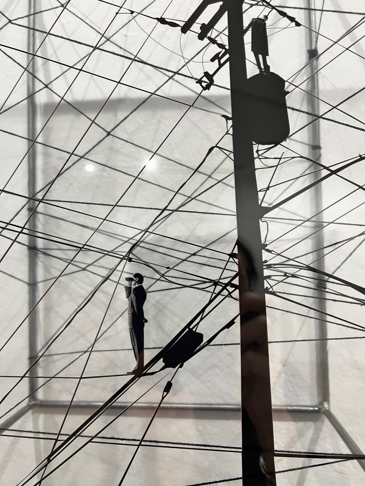 Free Like a Bird, diptych sculpture, dimensional wall art