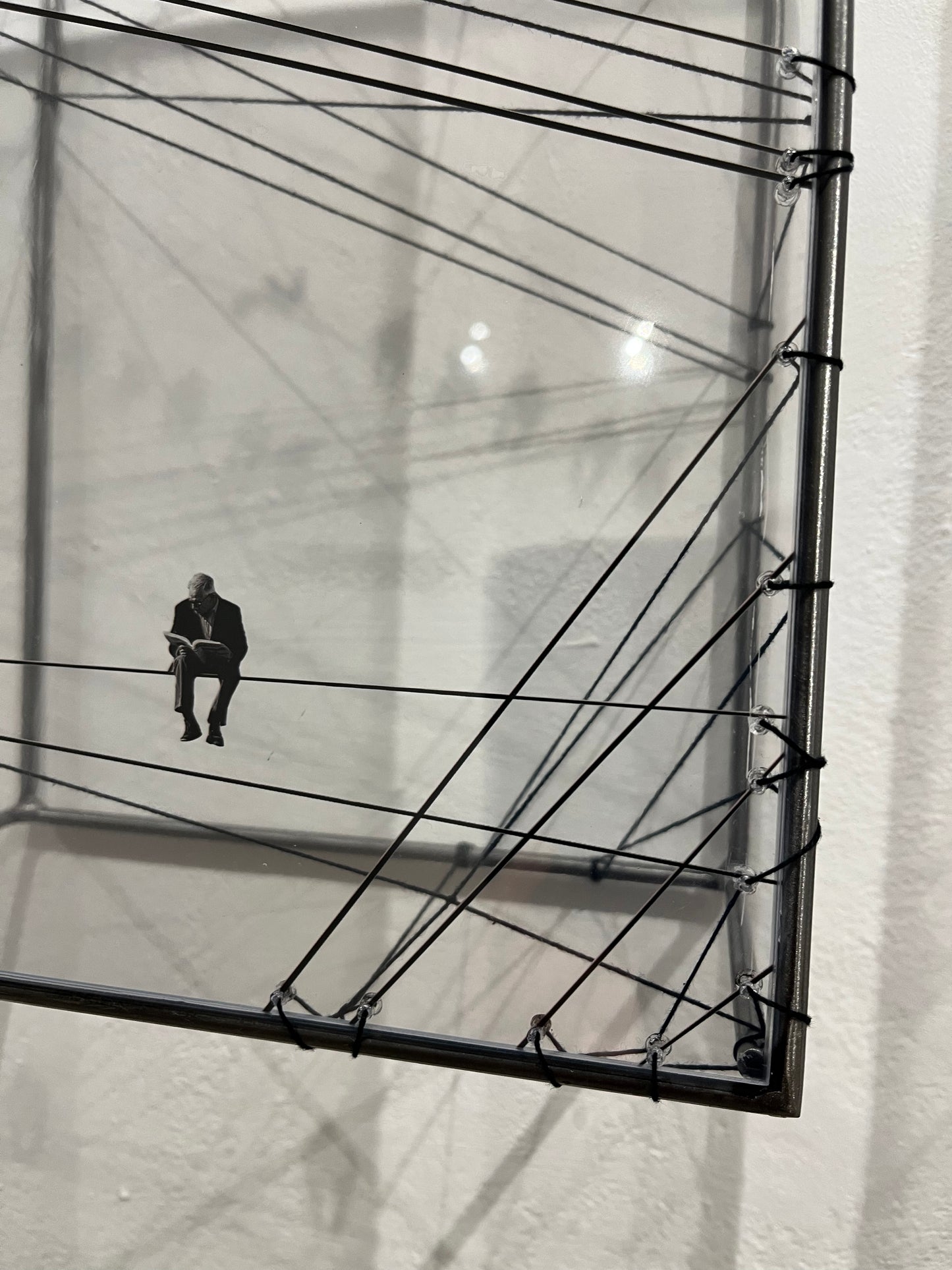 Free Like a Bird, diptych sculpture, dimensional wall art