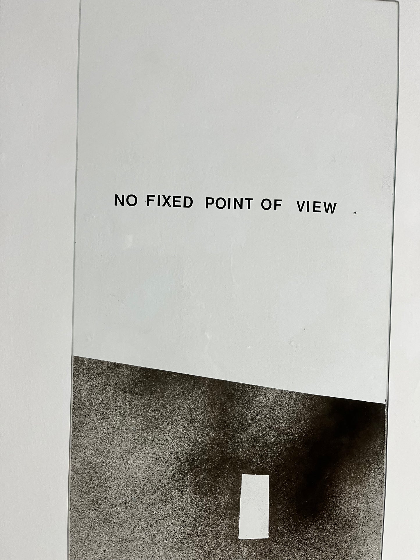 No Fixed Poiint of View