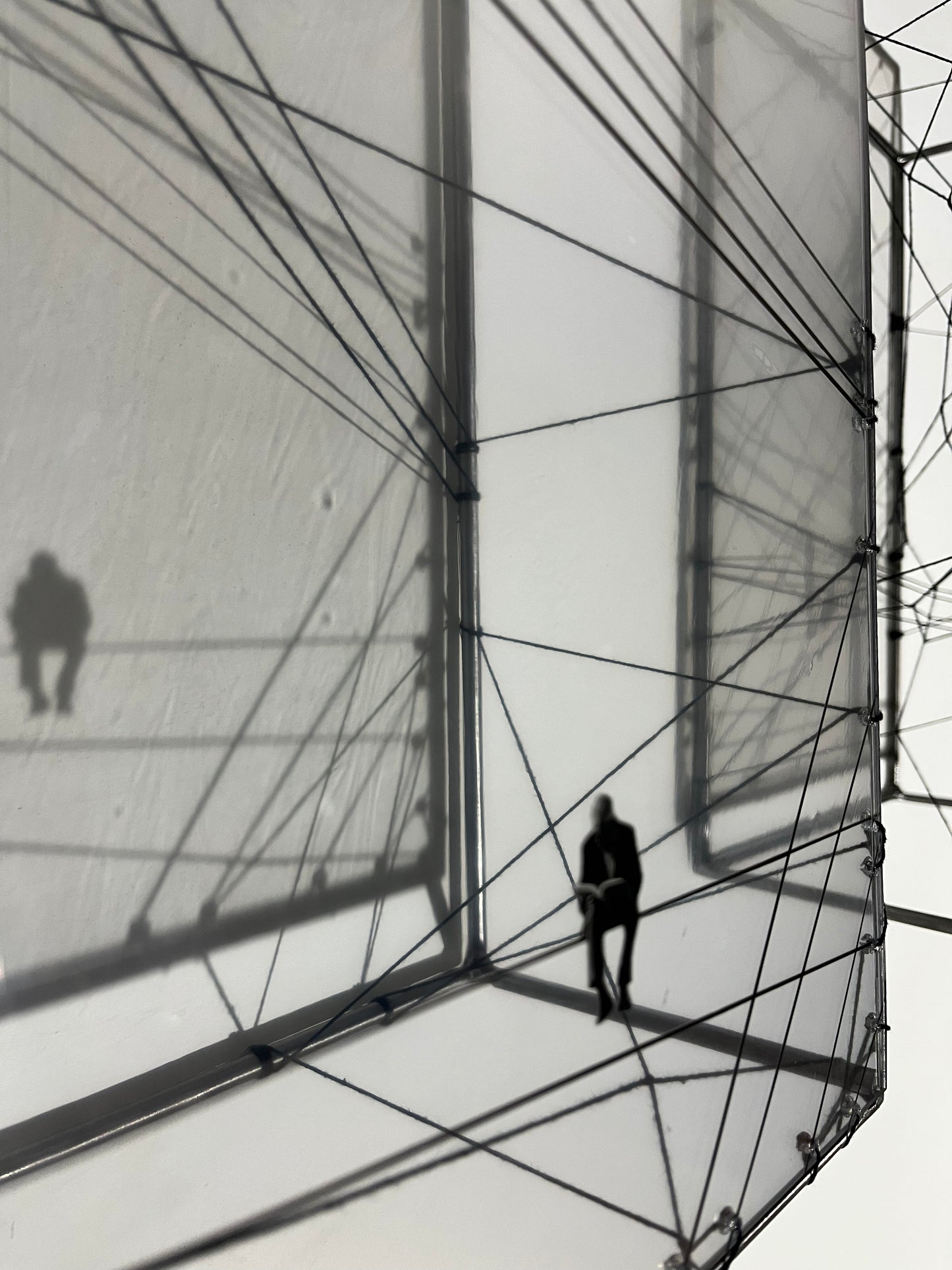 Free Like a Bird, diptych sculpture, dimensional wall art