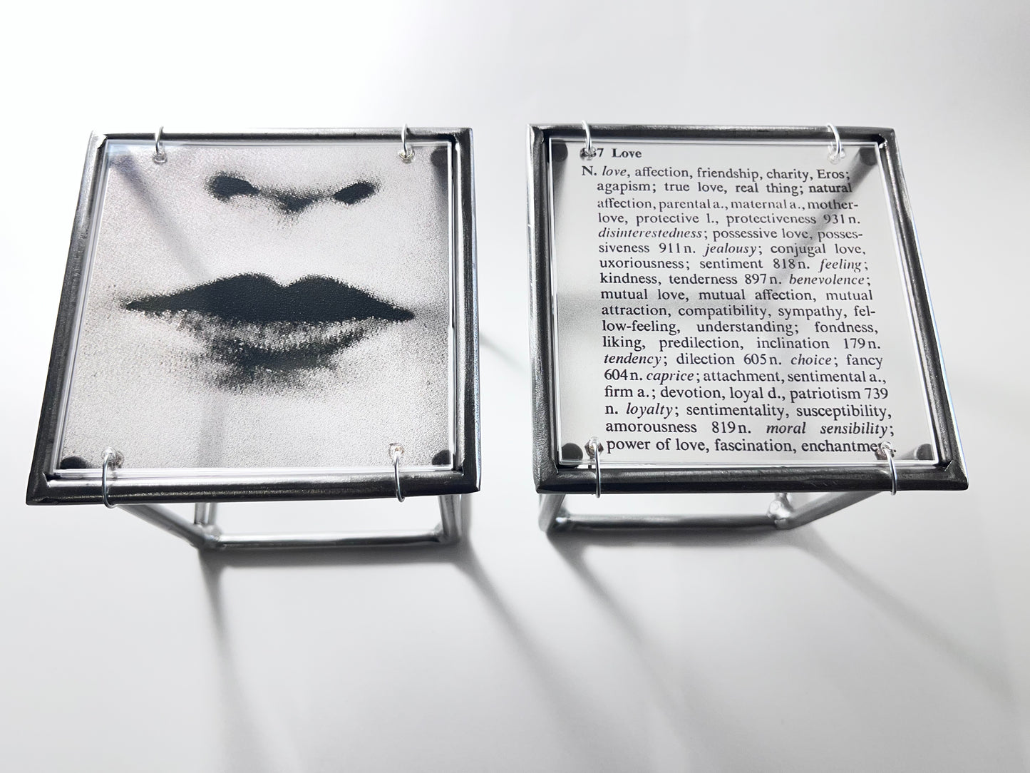 Lips and Love Thesaurus Steel Cube Wall Sculptures Set of 2