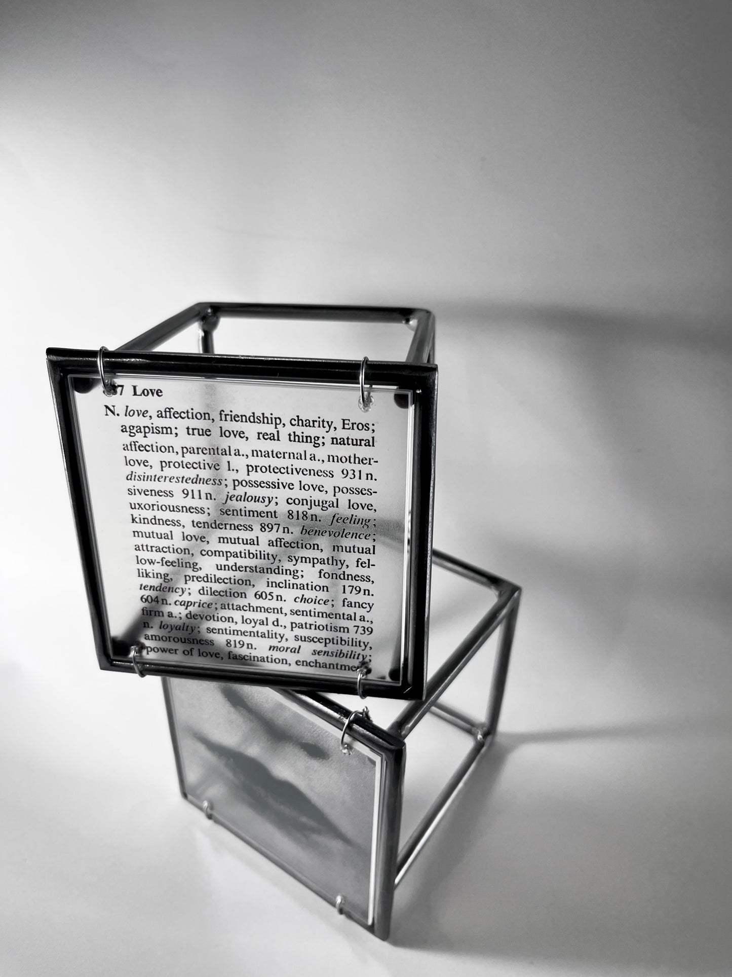Lips and Love Thesaurus Steel Cube Wall Sculptures Set of 2