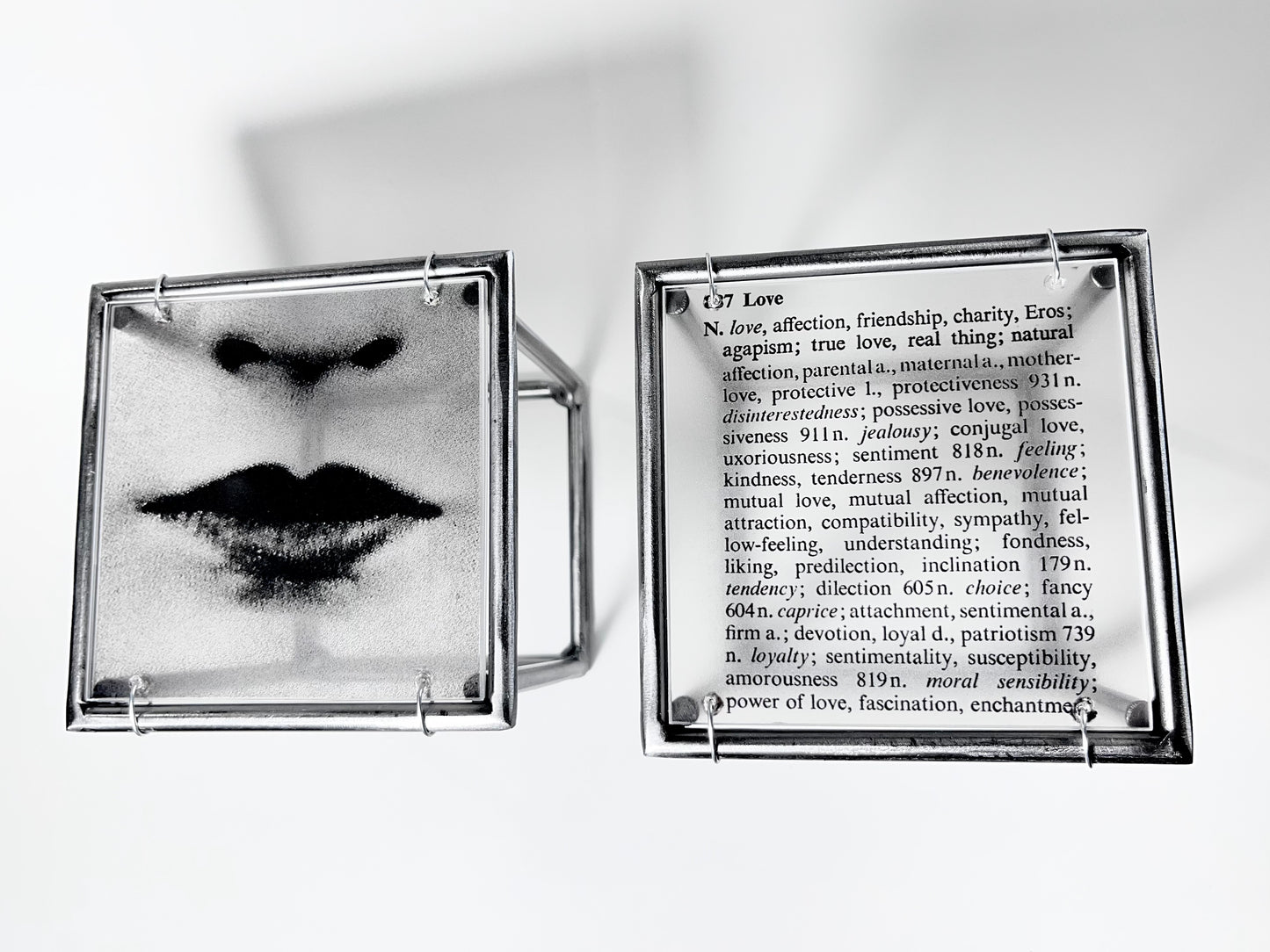 Lips and Love Thesaurus Steel Cube Wall Sculptures Set of 2
