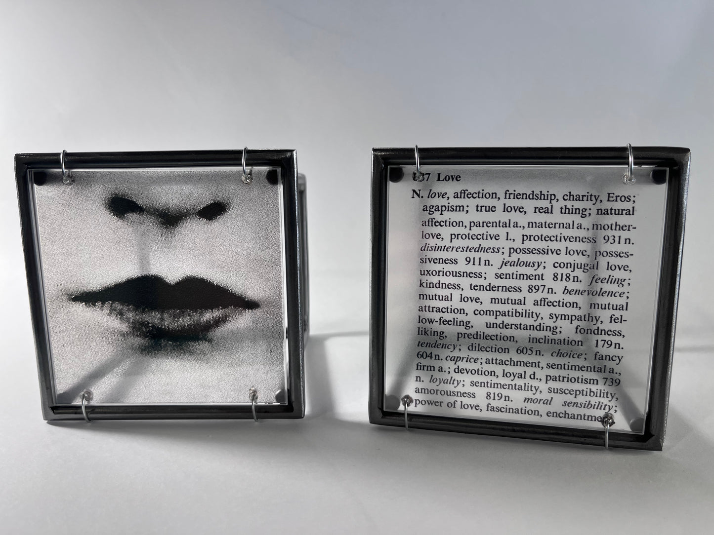 Lips and Love Thesaurus Steel Cube Wall Sculptures Set of 2