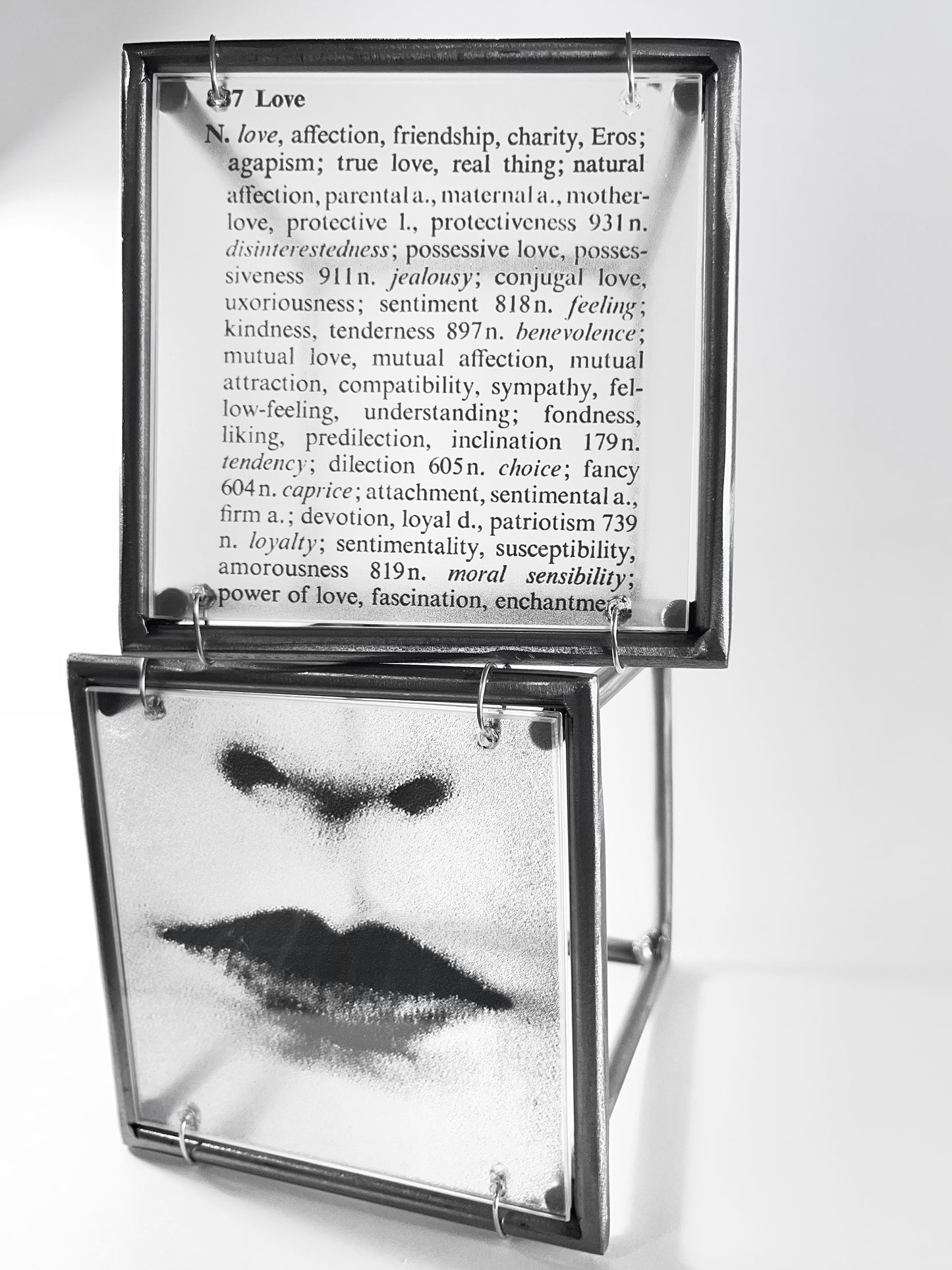 Lips and Love Thesaurus Steel Cube Wall Sculptures Set of 2