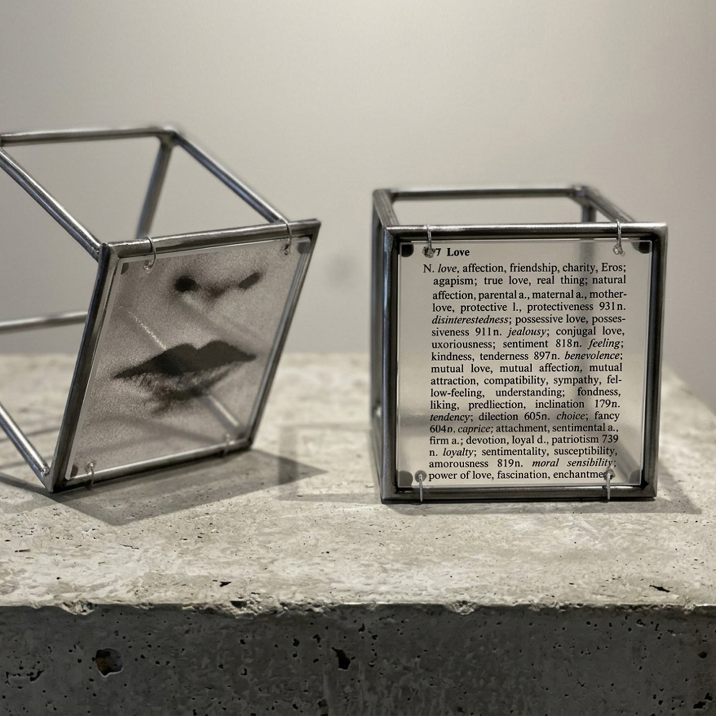 Lips and Love Thesaurus Steel Cube Wall Sculptures Set of 2