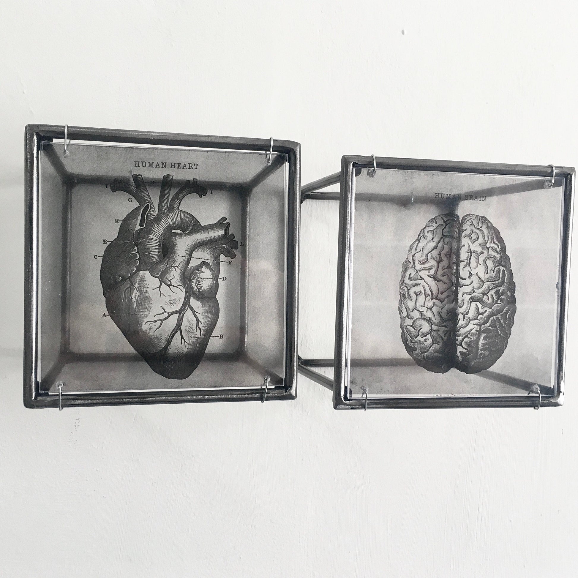 Hanging metal sculpture. Anatomical heart and brain art print. Art and shadow wall decor. Christmas art gift. - artandshadow