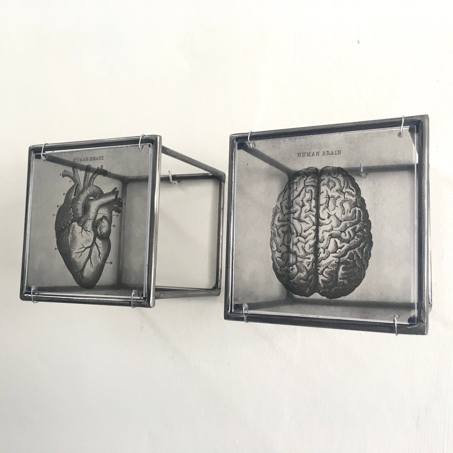 Hanging metal sculpture. Anatomical heart and brain art print. Art and shadow wall decor. Christmas art gift. - artandshadow